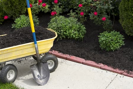 Tips for concrete landscaped yards