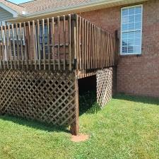 Outbuilding & Deck Wash in Chapel Hill, TN 9